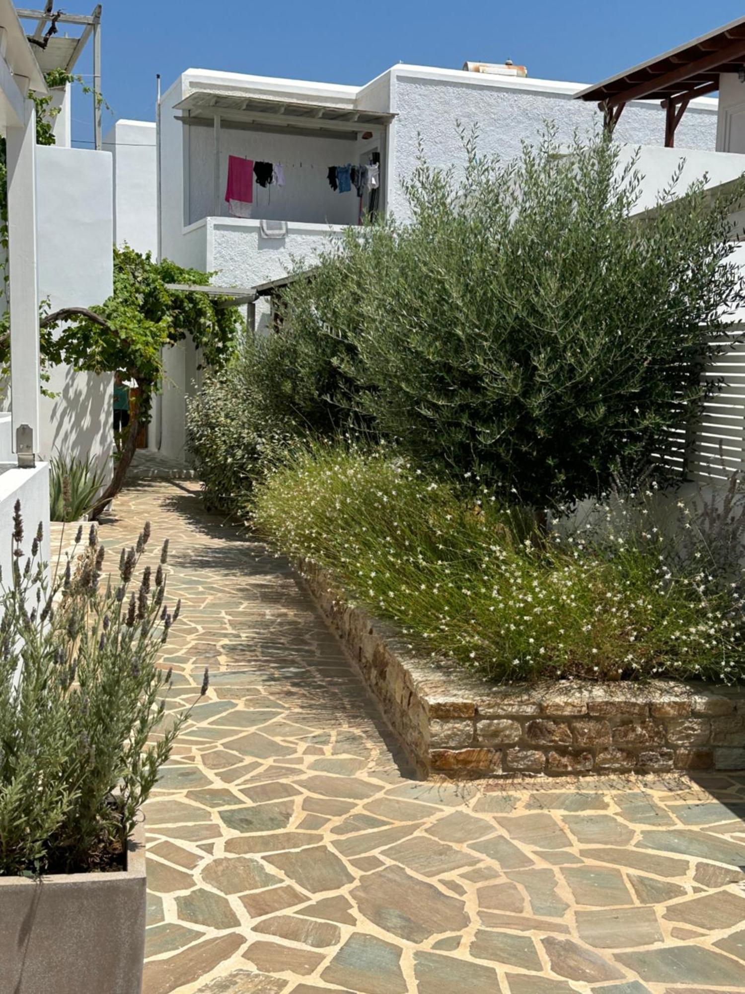 Levanda Guest Houses Andiparos Exterior photo